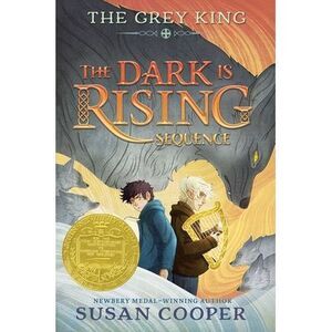 The Grey King -- Susan Cooper